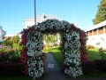 SAM_3571